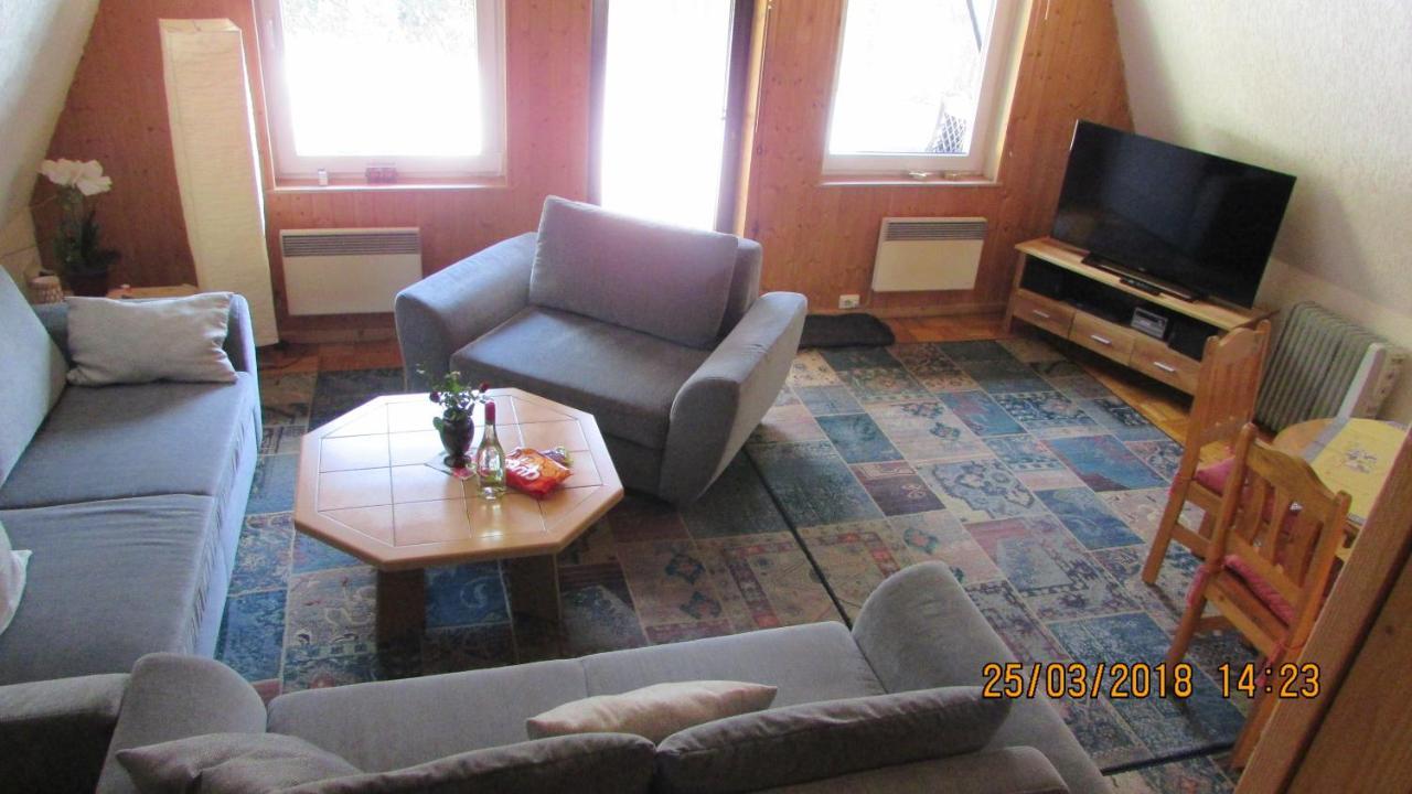 Finnhaus Neubauer Elbingerode  Εξωτερικό φωτογραφία