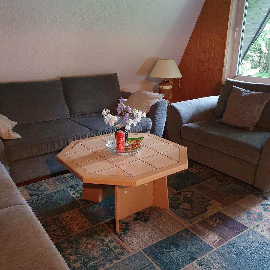 Finnhaus Neubauer Elbingerode  Εξωτερικό φωτογραφία