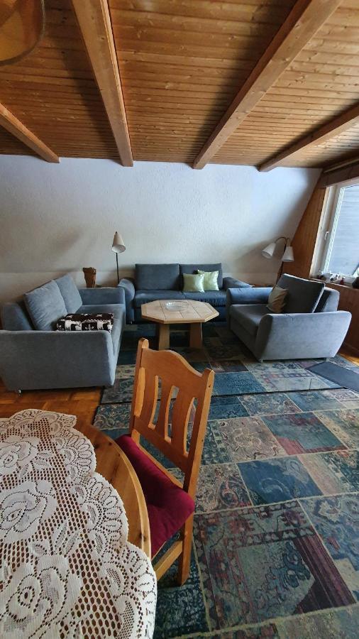 Finnhaus Neubauer Elbingerode  Εξωτερικό φωτογραφία